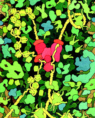 Illustration for article titled Stunning molecular biology illustrations look like floral abstract art